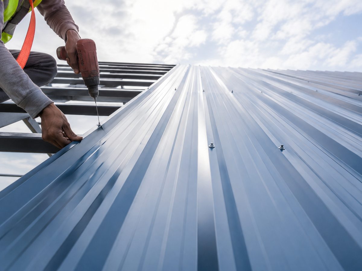 Colour coated sheet being fixed to purlins